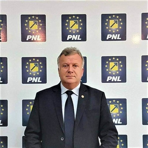 Constantin Şovăială, atac la filiala PNL Sibiu, după votul din BPN pentru negocieri cu PSD: RUŞINE-Raluca Turcan! RUŞINE- Daniela Cîmpean!