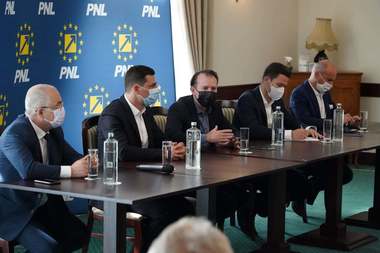 Liderii PNL au votat ca şefia guvernului să fie deţinută prin rotaţie, dar primul premier să fie liberal - surse