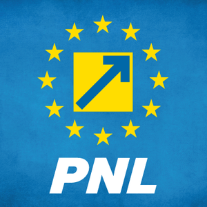 UPDATE - PNL discută despre flexibilizarea mandatului în legătură cu numele premierului / Florin Cîţu a avansat numele lui Dan Vîlceanu / Mai mulţi lideri au cerut convocarea BPN - surse 