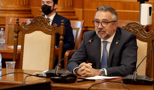 Romaşcanu, ministru propus pentru portofoliul Cultură, aviz favorabil din partea comisiilor de specialitate din Parlament: „Îmi doresc un mandat cât de cât lung, dar politica este peste dorinţele noastre”