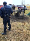 Intervenţia asupra urşilor periculoşi se va putea face şi în extravilan, nu doar în intravilan / Vot final în Parlament / Parlamentar UDMR: În oraşele mari, ursul pare un animal drăgălaş, este asemănat cu ursuleţul de pluş de pe canapea