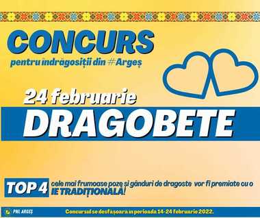 PNL Argeş anunţă un concurs pe Facebook, de Dragobete / Participanţii pot participa doar dacă dau like paginii de Facebook a filialei şi a preşedintelui organizaţiei, Alina Gorghiu