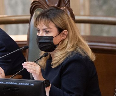 Anca Dragu: Cum se face coaliţia de guvernare că munceşte şi că îi pasă - Proiect de lege care ar fi trebuit aprobat ”ca la carte”, trimis spre dezbatere doar unor comisii 