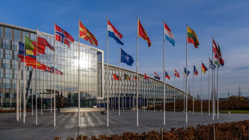 Vasile Dîncu, la reuniunea miniştrilor apărării din ţările membre ale NATO
