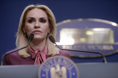 Firea: Plafonarea preţurilor la energie şi gaze naturale, care reprezentau peste 50% din creşterea inflaţiei, va determina o stabilizare a preţurilor de consum, cu un efect pozitiv asupra puterii de cumpărare a populaţiei