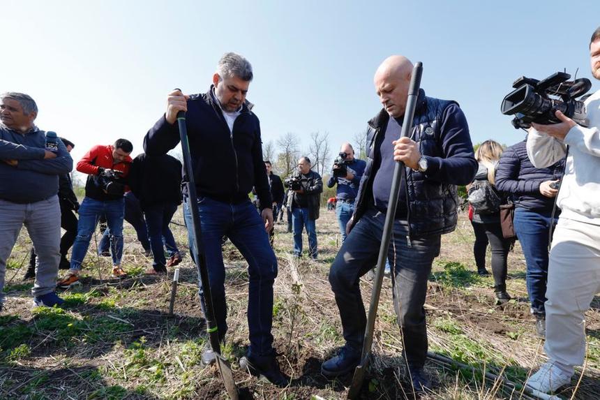 Ciolacu, la o acţiune de împădurire în Buzău: Ne-am propus să plantăm minimum 500.000 de arbori. S-au plantat 140.000 de puieţi / Până acum PSD a împădurit 70 de hectare / Despre gunoaie: Suntem deficitari 