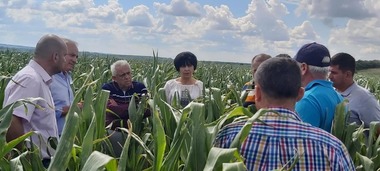 Preşedintele Consiliului Judeţean Botoşani, Doina Federovici, anunţă că sistemul antigrindină din judeţ va fi extins cu încă patru puncte de lansare