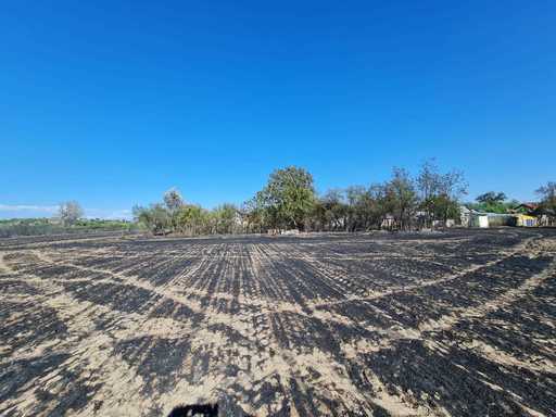 Ministrul Mediului: Din păcate, în vara aceasta, foarte mulţi au cosit cu „chibritul”. Folosirea focului pentru distrugerea vegetaţiei uscate pe terenurile agricole e cea mai ieftină, dar e greşită