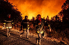 UPDATE - Şedinţă CNSU cu privire la situaţia incendiilor din Franţa / România trimite pompieri şi autospeciale mari de stingere / Declaraţia premierului Ciucă / Arafat: Franţa a fost alături de noi de foarte multe ori - VIDEO
