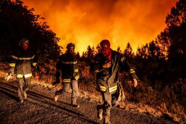 UPDATE - Şedinţă CNSU cu privire la situaţia incendiilor din Franţa / România trimite pompieri şi autospeciale mari de stingere / Declaraţia premierului Ciucă / Arafat: Franţa a fost alături de noi de foarte multe ori - VIDEO