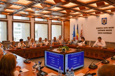 Lenuţa Cornea şi Oliviu Buzgău, din partea PSD, desemnaţi în funcţiie de vicepreşedinte al Consiliului Judeţean Satu Mare, după retragerea reprezentanţilor PNL
