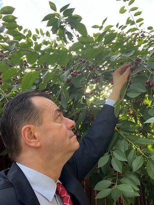 Orban, reacţie la proiectul AUR depus în Parlament care prevede interzicerea utilizării insectelor în producţia de hrană pentru populaţia umană: Mănânc ce vreau. Unii au luat-o razna