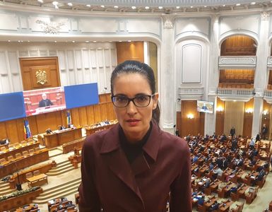 Clotilde Armand: I-am promis lui domn' Marcel că am să mă duc după toţi colegii lui de partid care au devalizat bugetul Primăriei Sectorului 1 / Cum comentează votul din Camera Deputaţilor în cazul lui Daniel Tudorache 