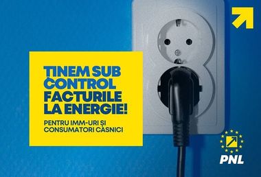 PNL - Guvernul este pregătit să aducă ordonanţei pe energie orice modificări vor fi necesare, în funcţie de evoluţia situaţiei 