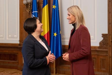 Alina Gorghiu, discuţii cu premierul Republicii Moldova despre eforturile autorităţilor de la Chişinău privind aderarea la UE