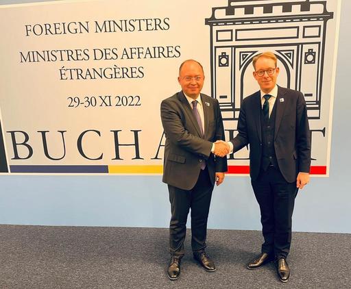 Ministrul Aurescu a discutat co omologul suedez despre obiectivele euroatlantice, în special procesul aderării Suediei la NATO