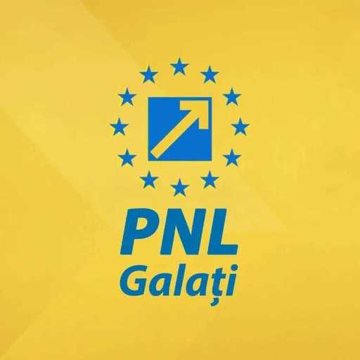 PNL Galaţi a adoptat o rezoluţie prin care cere ieşirea UDMR de la guvernare / George Stângă: Acţiunile liderilor UDMR, dar şi ale unor miniştri ai formaţiunii, nu pot să rămână nesancţionate