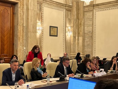 Bugetul Ministerului Muncii pentru anul 2023, avizat în comisiile parlamentare / Marius Budăi: Pensiilor le-a fost alocat un buget total de 131 miliarde de lei