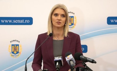 Alina Gorghiu, despre amânarea votului pentru Toni Greblă la şefia AEP: Am înţeles îngrijorările din spaţiul public şi ne-am manifestat în interiorul coaliţiei dorinţa ca la conducerea AEP să fie o persoană care nu are legătură cu partidele politice