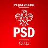 Bătaie între femei la PSD Cluj: Cele două PSD-iste implicate în bătaie au fost excluse din partid. Alte două membre ale filialei, sancţionate cu avertisment
