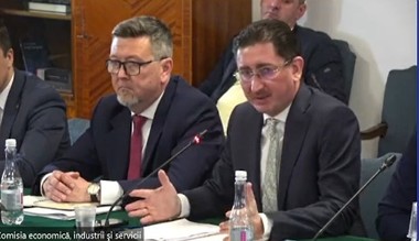 Scandal în Senat, la audierea preşedintelui Consiliului Concurenţei, Bogdan Chiriţoiu. Daniel Zamfir (PSD): Domnule, dacă dumneavoastră spuneţi că nu aveţi ce să faceţi, daţi-vă demisia! Aveţi două bombiţe mari sub scaun. Le ştiţi, le simţiţi?