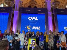 Senatoarea Nicoleta Pauliuc este noua preşedintă a Organizaţiei de Femei a PNL