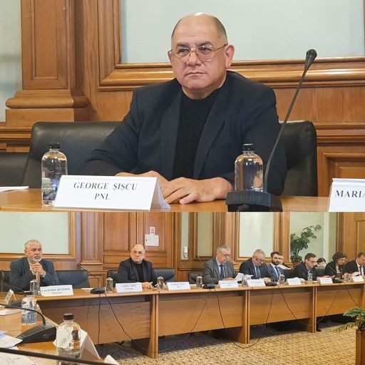 George Şişcu, deputat PNL: Examen auto, în orice localitate a României, indiferent unde ai urmat şcoala