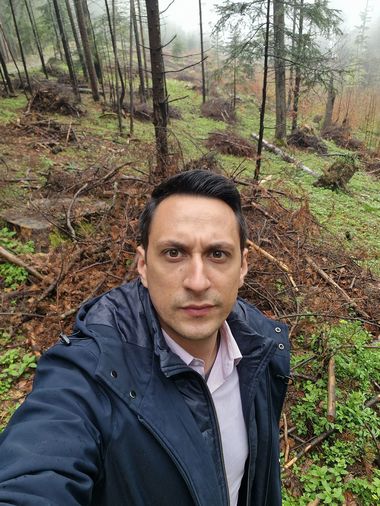 Misiune a Parlamentului European în România – Eurodeputaţi din România, Austria, Bulgaria, Estonia şi Spania vor evalua situaţia tăierilor ilegale şi a urşilor / Vlad Gheorghe: Avem multe alte căi de acţiune împotriva infractorilor de mediu

