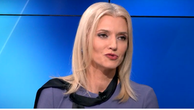 Alina Gorghiu, despre coaliţie: A crescut puţin temperatura / Nivelul discuţiilor apăsate a crescut