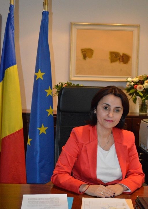 Ministrul de Externe Luminiţa Odobescu, discuţii cu omologul din Franţa despre Parteneriatul Strategic şi despre pregătirea summitului NATO din iulie, de la Vilnius