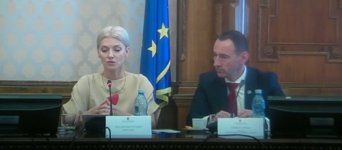 Alina Gorghiu: Suntem conştienţi de faptul că ţara noastră se află pe primele locuri în Europa la accidente rutiere, atât din perspectivă numerică, dar şi al ratei ridicate a mortalităţii. Situaţia de pe drumurile din România este gravă