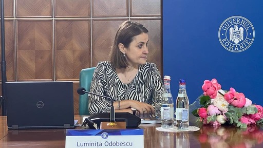 Ministrul afacerilor externe, Luminiţa Odobescu, a vorbit la telefon cu secretarul de stat al SUA, Antony Blinken, despre implicaţiile asupra României ale atacurilor ruse asupra porturilor fluviale ucrainene