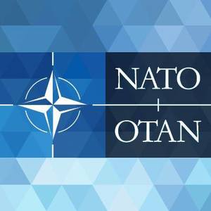 Purtătorul de cuvânt al Alianţei Nord-Atlantice, despre fragmentele dintr-o dronă găsite la Nufăru: NATO nu are informaţii care să indice vreun atac intenţionat al Rusiei împotriva teritoriului aliat
