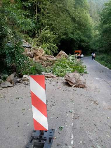 Senatul a adoptat un proiect care introduce o serie de măsuri pentru administratorii drumurilor publice cu privire la riscul căderii arborilor pe partea carosabilă