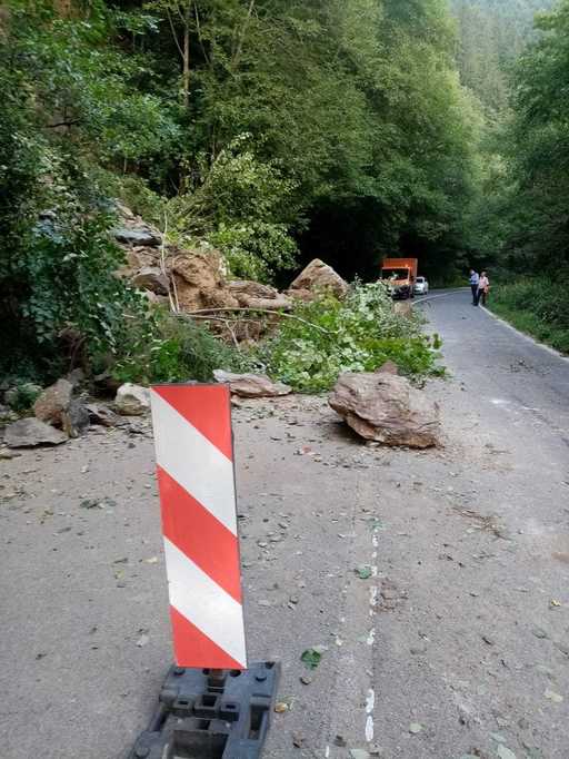 Senatul a adoptat un proiect care introduce o serie de măsuri pentru administratorii drumurilor publice cu privire la riscul căderii arborilor pe partea carosabilă