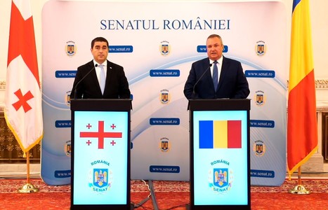 Nicolae Ciucă, după primirea preşedintelui Parlamentului Georgiei: Am reafirmat faptul că România este un susţinător al agendei europene a Georgiei