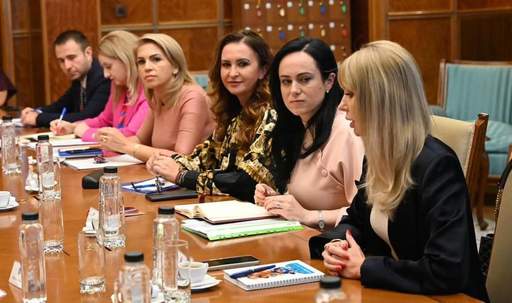 Organizaţia de Femei din Blocul Naţional Sindical, şedinţă de lucru cu ministrul Muncii, pe tema ratificării Convenţiei Organizaţiei Internaţionale a Muncii care se referă la violenţa şi hărţuirea în lumea muncii