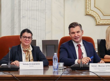 Ionuţ Stroe: Orice adult din ţara aceasta trebuie să poată diferenţia între fapte şi opinii, să identifice o ştire falsă sau să facă o plată în siguranţă în mediul online / Aceste competenţe au ajuns să fie minime, iar învăţământul trebuie să se adapteze