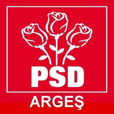 Primarul din Mioveni, reţinut de DNA, exclus din PSD

