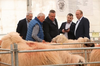 Preşedintele Senatului, liderul PNL Nicolae Ciucă, a vizitat Târgul Indagra - FOTO