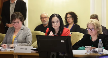 Legea pensiilor, raport de admitere în comisie / Ministrul Muncii: Având în vedere negocierile pe care le avem cu privire la PNRR, rugămintea pe care o adresez este să jucăm în echipă şi nu pe contre