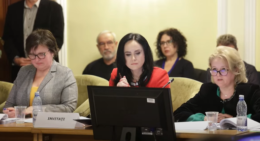 Legea pensiilor, raport de admitere în comisie / Ministrul Muncii: Având în vedere negocierile pe care le avem cu privire la PNRR, rugămintea pe care o adresez este să jucăm în echipă şi nu pe contre