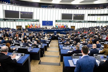 Europarlamentarii PNL Dan Motreanu şi Daniel Buda cer creşterea bugetului rezervei de criză a Politicii Agricole Comune, pentru a oferi fermierilor un sprijin proporţional cu amploarea pierderilor suferite