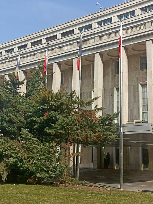 Mesaj al Guvernului, de Ziua Solidarităţii româno-poloneze: Încă o dovadă a prieteniei noastre istorice şi a angajamentului nostru comun pentru aprofundarea Parteneriatului Strategic / Semnificaţia zilei