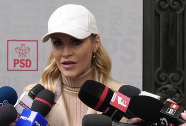 Gabriela Firea, despre scandalul azilelor: Nu am de ce să plătesc eu ceva ce nu am greşit
