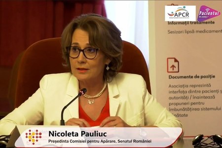 Senatoarea PNL Nicoleta Pauliuc, preşedinta Comisiei de Apărare, întâlnire cu Vitnija Saldava, Manager Regional de Politici Publice la Meta / Discuţii despre proiectul de lege privind siguranţa copiilor online