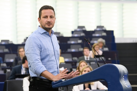 Nicu Ştefănuţă a fost ales candidatul Grupului Verzilor pentru funcţia de vicepreşedinte al Parlamentului European