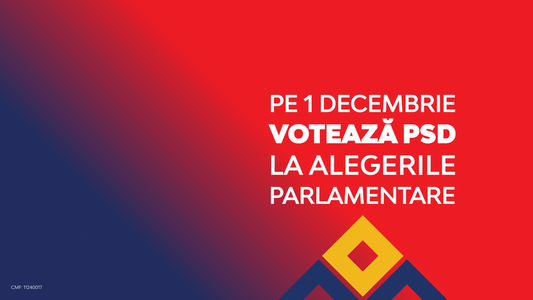 (P) Votul din 1 decembrie este pentru a continua politicile de susţinere a nivelului de trai pentru românii cu venituri mici