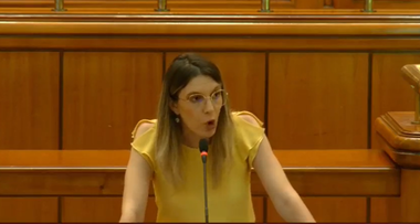 Diana Buzoianu (USR): În plin scandal Nordis, PNL depune un proiect de lege care deschide uşa politizării Ordinului Arhitecţilor din România şi influenţei mafiilor imobiliare
