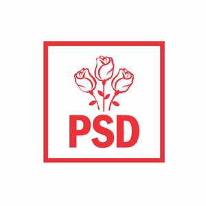 PSD: Există suspiciuni rezonabile că pentru finanţarea campaniei lui Nicuşor Dan s-au folosit bani murdari, din surse ilegale